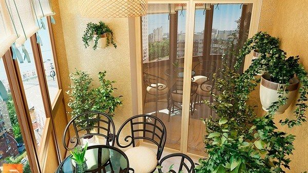 ampelous plants on the balcony