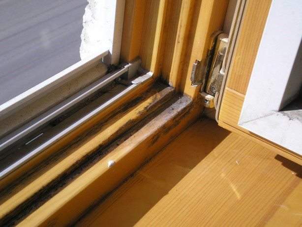 so that the windows do not freeze in the house folk remedies