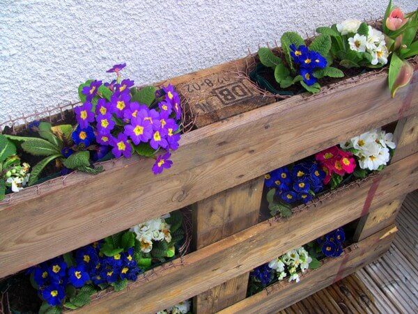 wooden pallet