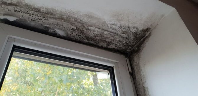 Foto: pleseň na svahoch, výsledok nesprávneho vykonania montážneho švu