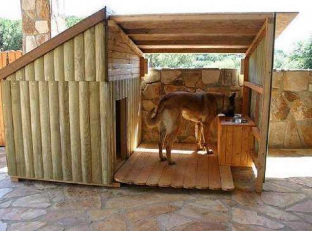 Como e o que isolar uma casinha de cachorro para o inverno dentro da foto