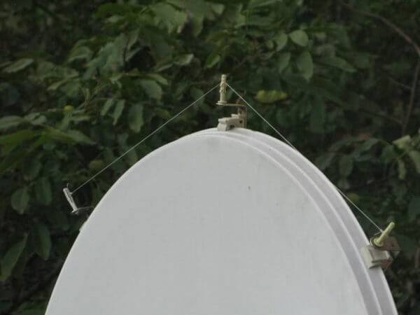 Ako sa zbaviť holubov na balkóne, parapete