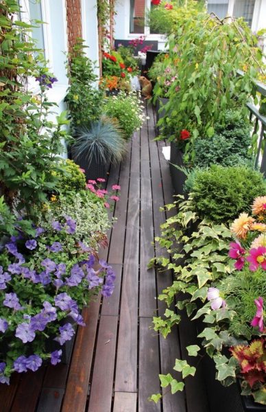 how to make a garden on the balcony