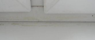 poza suflă pe fereastră