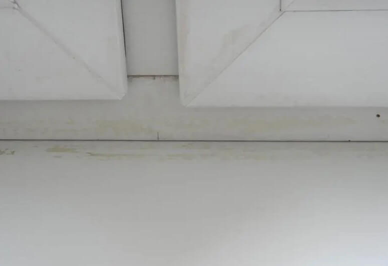 poza suflă pe fereastră