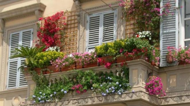 Ghiveci pe balustrada balconului
