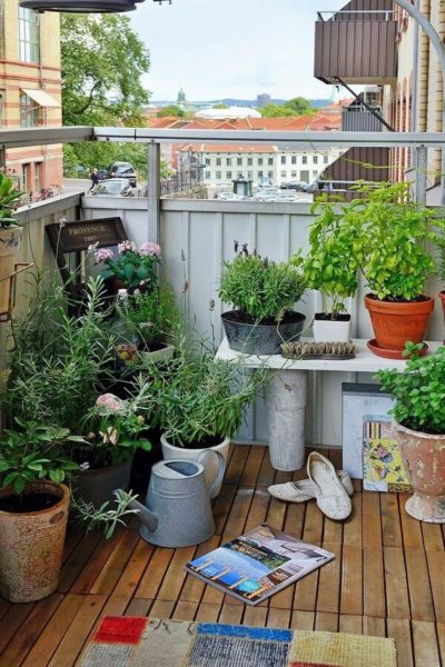 indoor flowers on the balcony