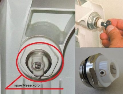 Mayevsky vinci