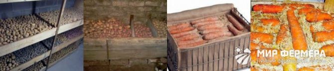 Raspored ventilacijskih otvora u podrumu stambene zgrade prema SNiP-u