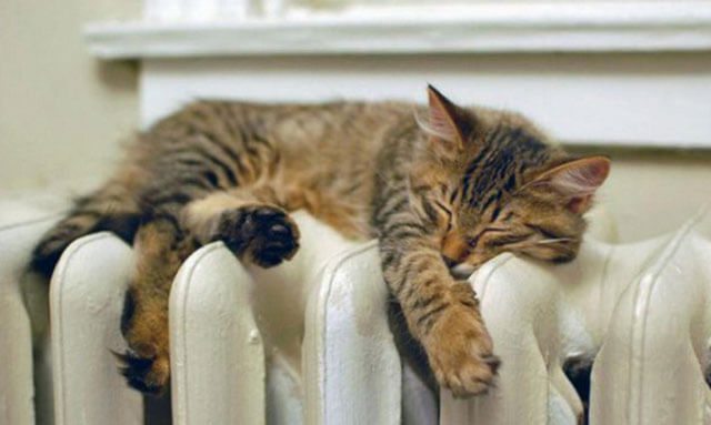 refusal of central heating