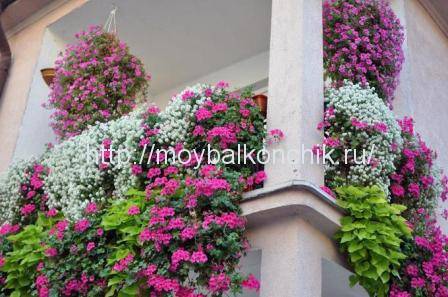 Balustrade de balcon: tipuri de balustrade de balcon