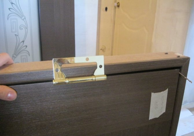 Butterfly hinge on the door leaf