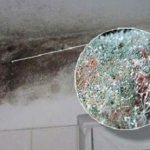 Мухъл на балкона