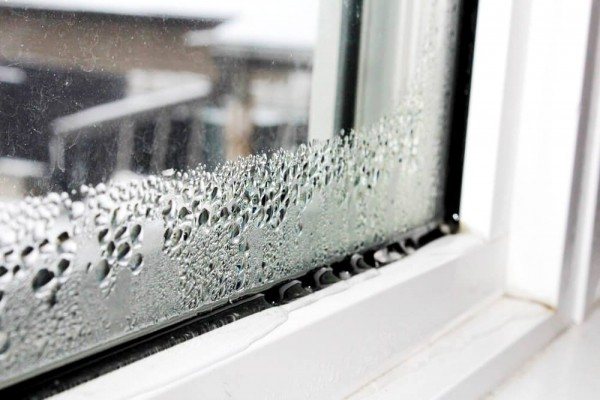 Moho en la ventana: causas de aparición, métodos y medios de lucha.
