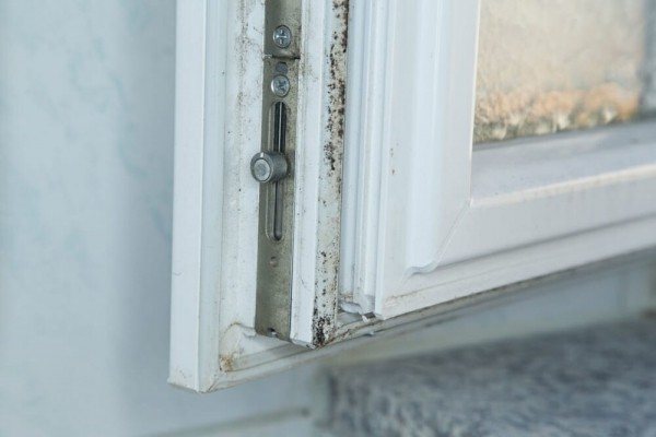 Moho en la ventana: causas de aparición, métodos y medios de lucha.