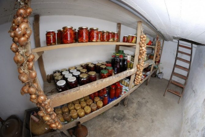Pivnica pod garážou