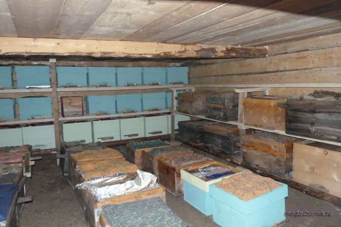Espaço para colmeias no inverno