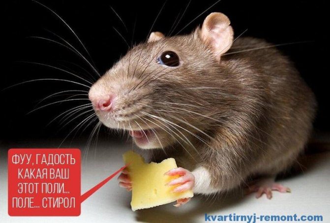 Mouse tare