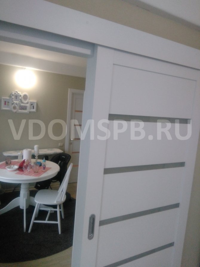 PVC doors: what is it, the pros and cons of similar models