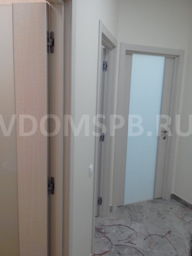 PVC doors: what is it, the pros and cons of similar models