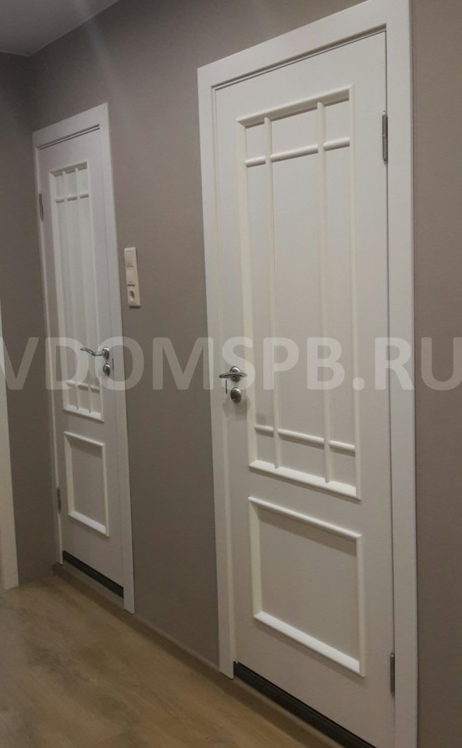 PVC doors: what is it, the pros and cons of similar models