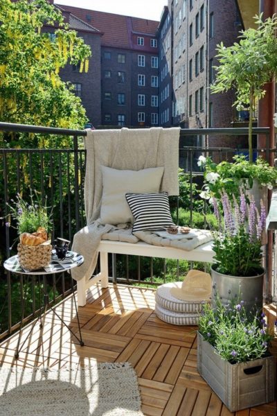 potted plants on the balcony