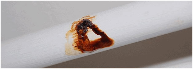 rost