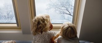 Ventanas cálidas: opciones y consejos para elegir.