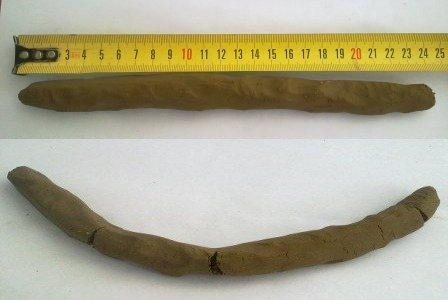 Plasticity test # 2: making a clay flagellum