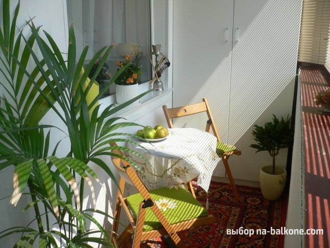 Cozy winter garden on the loggia