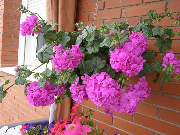 Decor decorativ floral al ferestrelor din plastic, decor pervaz