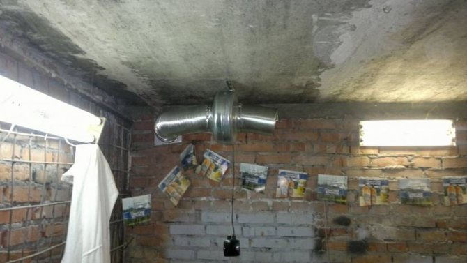 digestor v suteréne garáže