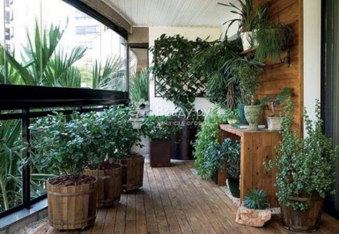 A rustic winter garden is a great solution for a loggia